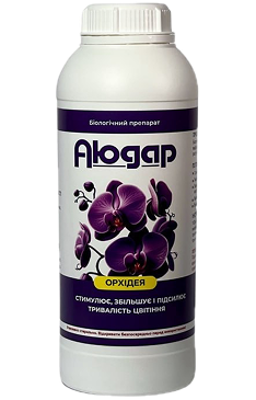 Аюдар Орхидея